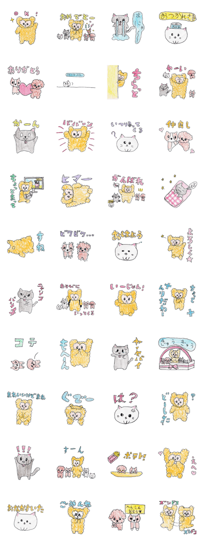 CAT-DOG-CAT-DOG-BEAR