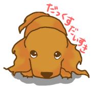 "DAISUKI"Dachshund