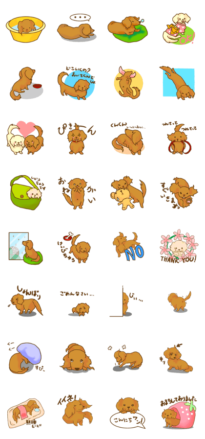 "DAISUKI"Dachshund
