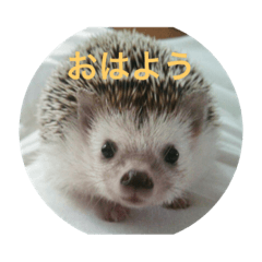 junko_20201010231519