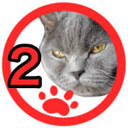 Cat of seal 2