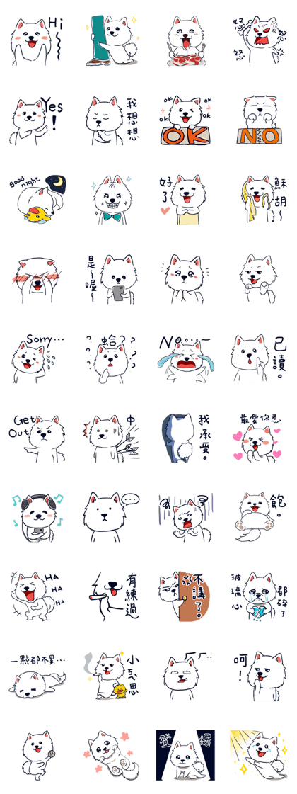 Japanese Spitz-Michael-practical