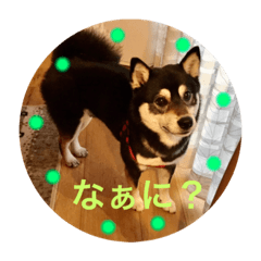 omochi_20201011080459