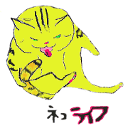 cat cat cat life