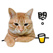 Hungry POPO