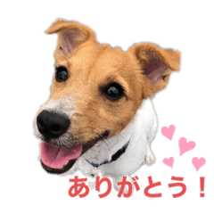 tomomi_20201010210640