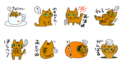 Brown tiger cat