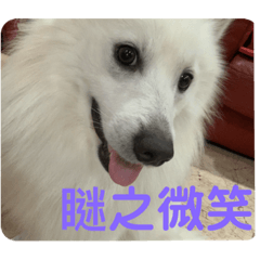 憨寶與主人