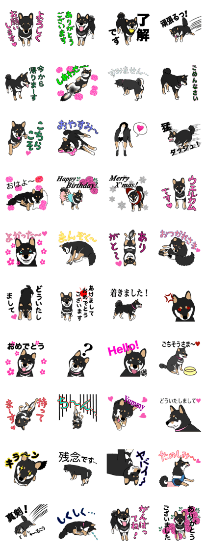 Black Miniature Shiba Inu HIME
