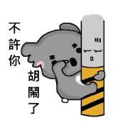 Koala hug