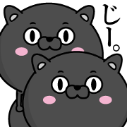 Black cat of Debeso