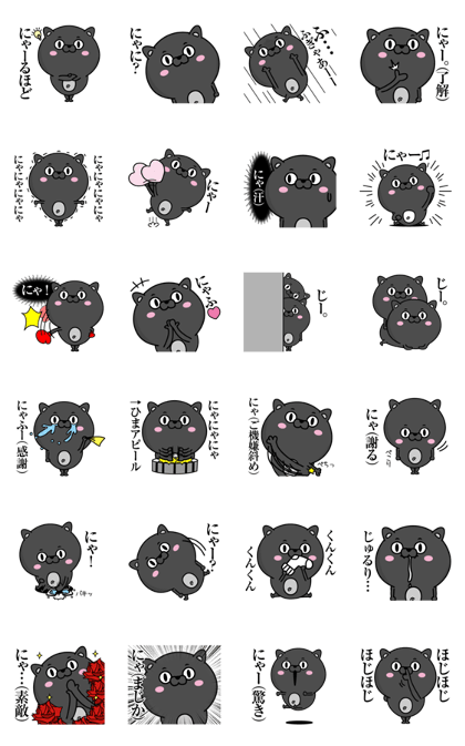 Black cat of Debeso