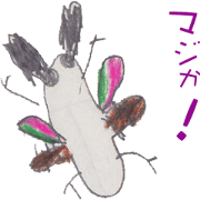 The message from insects