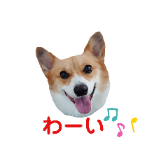 alice_20201011124341