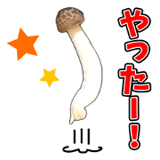It's cute Shimeji!