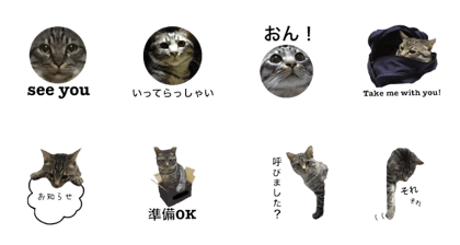 Michirou