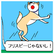 ["Round icon"...In fact,isn't a oo?]2