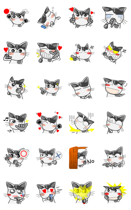 White&Black cat Lin 2nd