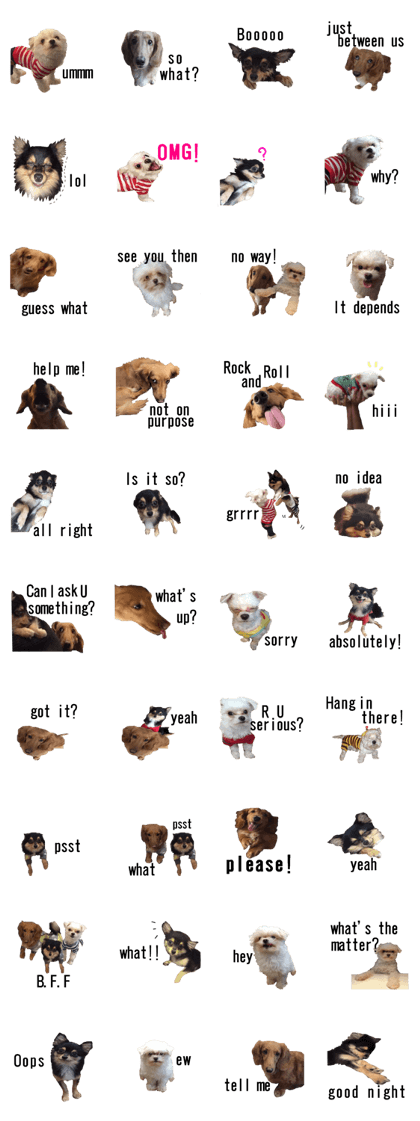 lovely doggie sticker