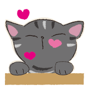 The D version of the BUSAKAWA cat.