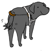 GUIDE DOG LAB 1