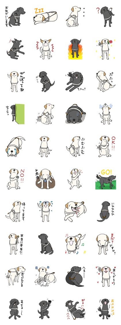 GUIDE DOG LAB 1
