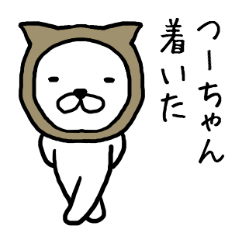 Tsuchan cat