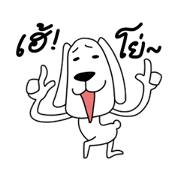 chewy dog THAI