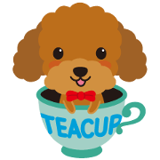 The daily life which is a T cup