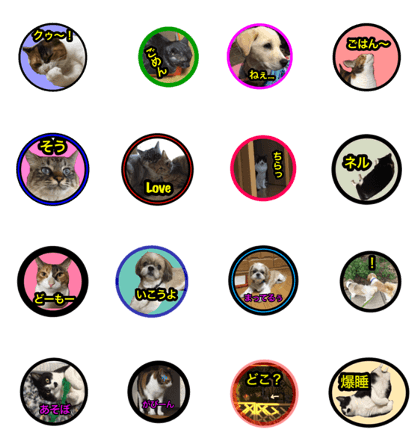 Pretty pets