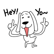 chewy dog