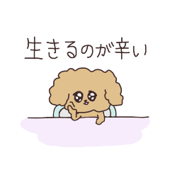 Toy poodle with symptoms of depression