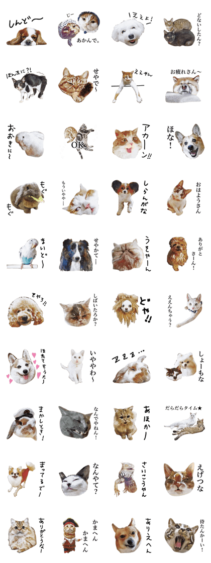 funny animals stickers3
