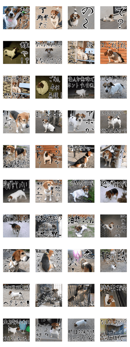 sticker of LARKO & LARK ver.0