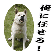 Potchan Pochipochi