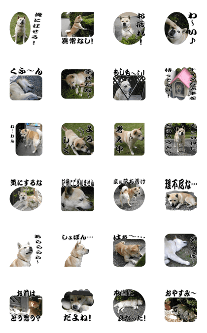 Potchan Pochipochi