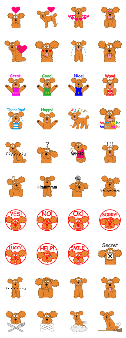 A Cute Toy Poodle