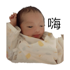 愛搞怪的郭軒軒2