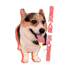 我是最帥の王子狗2