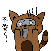 Civet brother
