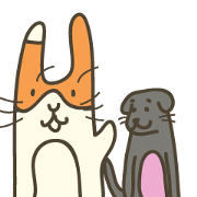 bunny dasso