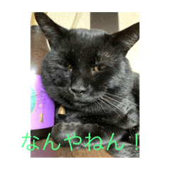 nozomi_2020101118153