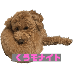 Chie_20201011185554