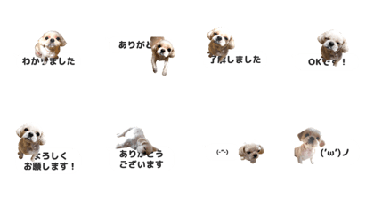 Dog healing sticker