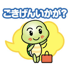 life of the mini turtle