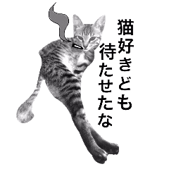 猫好きやろーどものために作ったスタンプ Line スタンプ Line Store 猫好きやろーどものために作ったスタンプ Line スタンプ Line Store