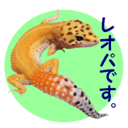 Leopard Gecko of taking a picture
