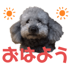 saya_20201012092220