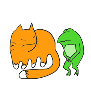 Cat & frog 5