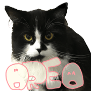 OREO2